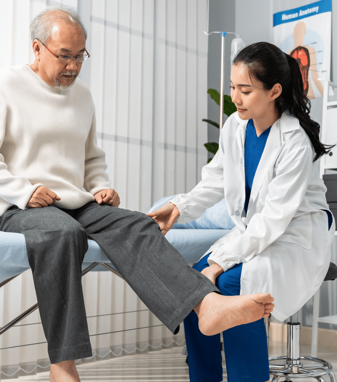 Orthopedic