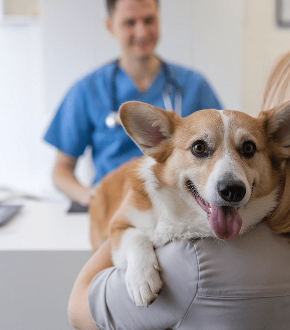 Veterinary